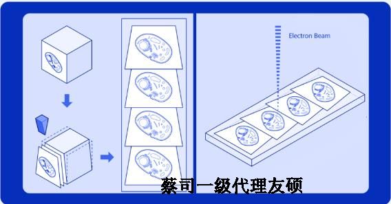 忠县蔡司忠县扫描电镜