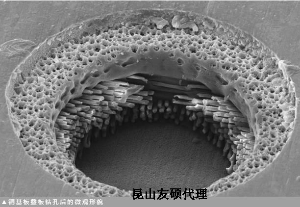 忠县蔡司忠县扫描电镜